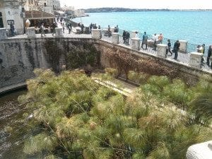 Vamos conhecer Siracusa na Sicília?