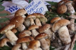 Quais são as principais feiras de Florença?