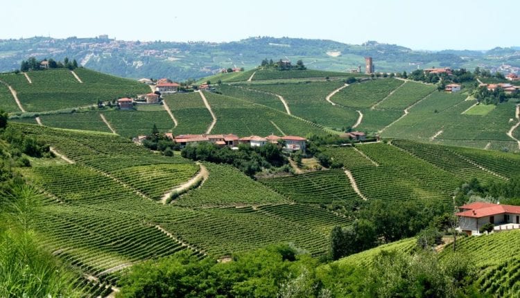 Rota do vinho em Piemonte
