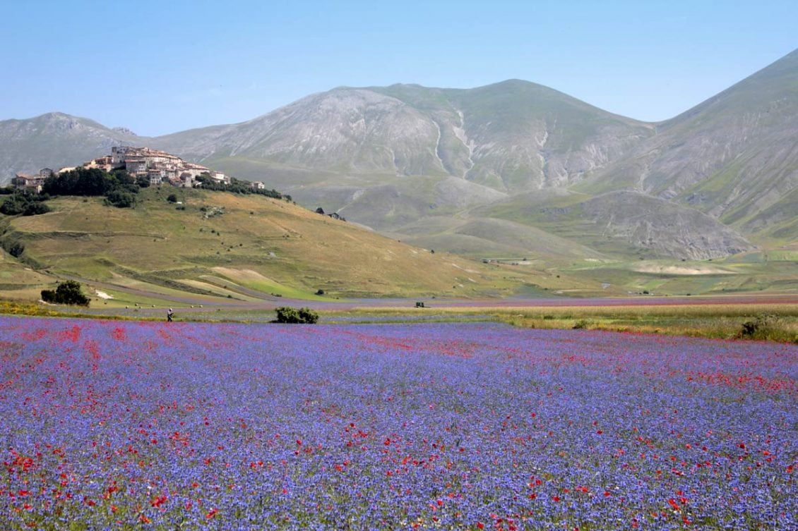 Onde encontrar belíssimas paisagens de flores na Itália?