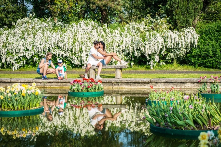 Onde encontrar belíssimas paisagens de flores na Itália?