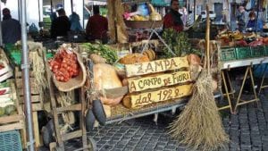 Vamos visitar o Campo das Flores em Roma?