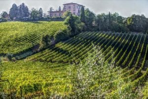 Bolgheri e o famoso vinho Sassicaia da Toscana?