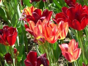 Vamos conhecer Taranto na região da Puglia?