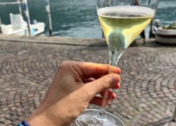 Bate e Volta de Milão com Degustação de Vinhos