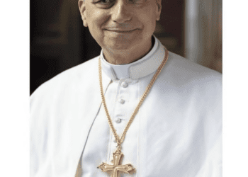 Como ver o papa em Roma?