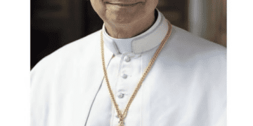 Como ver o papa em Roma?