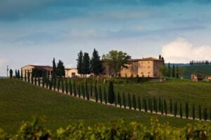 3) Vinícola para se hospedar em Chianti: Casale dello Sparviero! VIVENCIE MOMENTOS DE DESCANSO NESSE LUGAR ENCANTADOR! Que tal apreciar todos esses vinhos incríveis com calma e tranquilidade se ter pressa para ir embora? E assim transformar a sua passagem pela Casale dello Sparviero uma experiência ainda mais inesquecível. A propriedade, que está no coração de Chianti, em meio àquela paisagem clássica com os ciprestes, dando vida e forma para a mais genuína imagem quando pensamos na Toscana. A casa principal da propriedade é um antigo monastério, que foi reformado e pensado para proporcionar uma estadia encantadora para as pessoas que sonham em usufruir dos encantos da Toscana em sua forma mais plena. Possui apartamentos para 2,3 ou 4 pessoas, muito confortáveis e com toda a estrutura necessária para você vivenciar momentos magníficos e ainda poder explorar e admirar toda a beleza das colinas e das paisagens cinematográficas da região. Aproveite a tranquilidade do lugar e...relaxe! Além dos apartamentos e as belezas naturais que circundam o local, você ainda pode aproveitar e descansar à beira da maravilhosa piscina de borda infinita que te presenteia com uma vista espetacular ou ainda relaxar profundamente com uma massagem ou uma sessão de Yoga. Uma coisa eu garanto, todo o stress que estava acumulado irá embora rapidinho! (Risos). Leia também: 5 Castelos para se hospedar em Chianti na Toscana! Gostou da ideia de se hospedar e aproveitar ainda mais a Casale dello Sparviero? Vinícola para se hospedar em Chianti: Casale dello Sparviero!